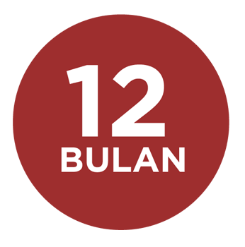 12 bulan